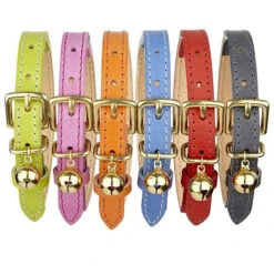 Collier Pour Chat En Cuir Rose -Produits Chien Chat Magasin 11356512 1135743869769883 17130006 n 2e58a102 32de 4d19 a23c 97e3af71545e