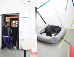 Panier Pour Chien Tweed Gris Clair Sleepy Deluxe -Produits Chien Chat Magasin 14 Julia Ali Mogli Cloud7 Dog Bed Sleepy Deluxe