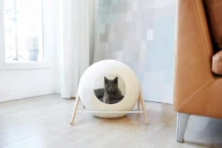 La Ball Meyou -Produits Chien Chat Magasin 150803 03 007