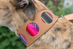 Collier Pour Chien Cuir Et Tissu Inca Pink 8 Collier Pour Chien Cuir Et Tissu Inca Pink -Produits Chien Chat Magasin 190517 Hiro Wolf Dumpton Gap May 19 08133 445x297 e0a59ce2 916f 4bf4 9cb8 7a77f000d292