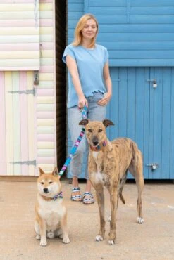 Laisse Inca Blue 11 Laisse Inca Blue -Produits Chien Chat Magasin 190517 Hiro Wolf Dumpton Gap May 19 0158 1024x1024 909aa1fe 06d8 47bb b138 d008adbd890f