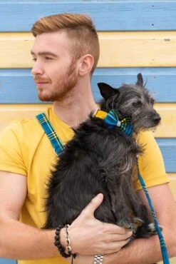 Noeud Papillon Pour Chien Shuka Blue -Produits Chien Chat Magasin 190517 Hiro Wolf Dumpton Gap May 19 0467 622x932 cf9d41d6 fee3 49b4 9bd2 1990451ae7ae