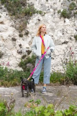 Laisse Inca Pink 10 Laisse Inca Pink -Produits Chien Chat Magasin 190517 Hiro Wolf Dumpton Gap May 19 0717 1024x1024 a523d607 4e08 45b3 9a31 b2bc34caf89b