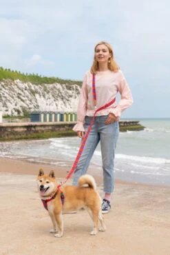 Laisse Shuka Red Tartan -Produits Chien Chat Magasin 190517 Hiro Wolf Dumpton Gap May 19 1218 1024x1024 73028475 ce69 4ec8 8e61 75e5d671fb3e