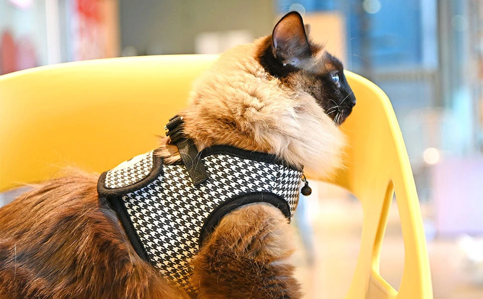 Harnais GARBO B Pour Chat 8 Harnais GARBO B Pour Chat – Image 6