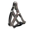Harnais Parachute Biosca -Produits Chien Chat Magasin 1 68a83ac8 dce1 4cf4 b9bd 60b09f02d02d