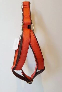 Harnais Parachute Uni Rouge Strawberry