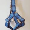Harnais Parachute Uni Bleu Serenity -Produits Chien Chat Magasin 20180223 120713 Copie