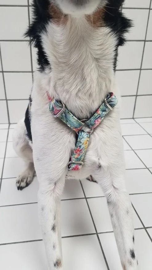 Harnais En H Fleuri Perelada 4 Harnais En H Fleuri Perelada – Image 2