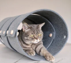 Tunnel Pour Chat FuzzPlay 9 Tunnel Pour Chat FuzzPlay -Produits Chien Chat Magasin 22CE8696 3B1A 47CC B879 EFE0C584EAFC 280 000000505EC5D727Kopie 900x 7e40a57c 7090 479a ab5d 50e6cb170921