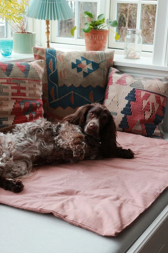 Duvet Pour Chien En Coton Bio 5 Duvet Pour Chien En Coton Bio – Image 3