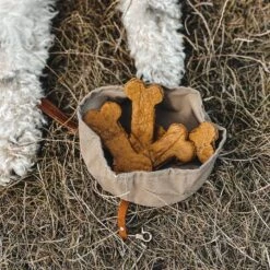 Bol De Voyage Pour Chien Pliable Melo Band & Roll -Produits Chien Chat Magasin 244643768 2962370390642316 8361220037470814286 n