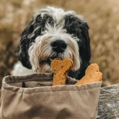 Bol De Voyage Pour Chien Pliable Melo Band & Roll -Produits Chien Chat Magasin 244670726 2962370393975649 4449451581056655728 n