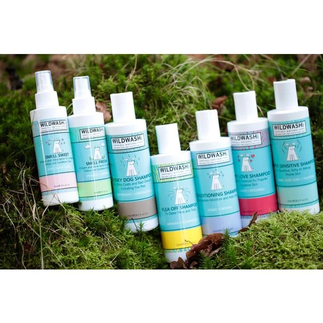 Shampoing Pour Chien Sénior - Ginseng Et Palmarosa Wildwash Pet 4 Shampoing Pour Chien Sénior - Ginseng Et Palmarosa Wildwash Pet – Image 2