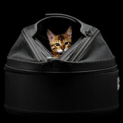 Panier De Transport Pour Chien Et Chat - SLEEPYPOD -Produits Chien Chat Magasin 3690 Panier de transport pour chien et chat SLEEPYPOD