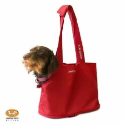 Sac De Poche Pour Petit Chien Lazy Dog -Produits Chien Chat Magasin 54512067 426969104745324 8405107956070420620 n