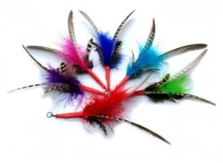 Canne à Pêche Pour Chat (jouets Interchangeables) -Produits Chien Chat Magasin 811MKjGw3LL. SL1500