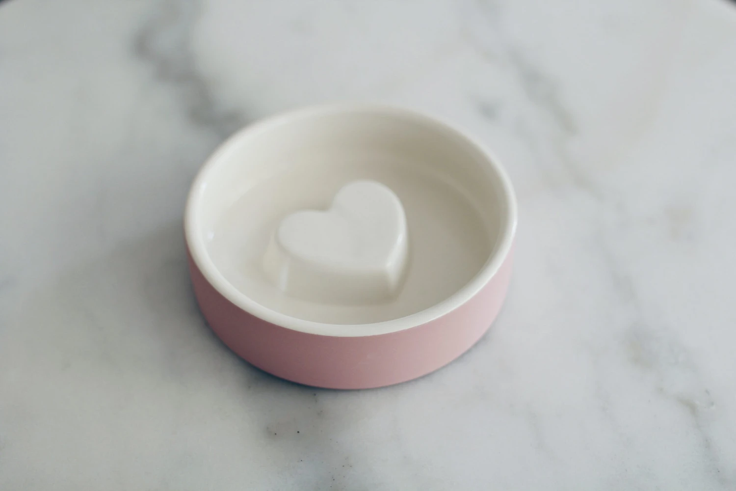 Bol Anti-glouton Pour Chat Et Petit Chien 6 Bol Anti-glouton Pour Chat Et Petit Chien – Image 4