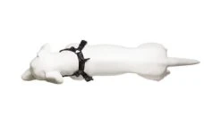 Harnais De Running Pour Chien -Produits Chien Chat Magasin 9 720x 2087cd03 3f6e 45b5 afb2 f2ecd4872910