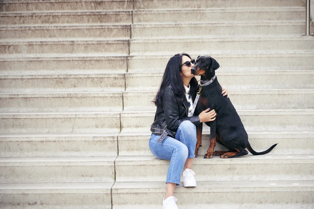 Collier Pour Chien Out Of My Box (2 Couleurs) 5 Collier Pour Chien Out Of My Box (2 Couleurs) – Image 3