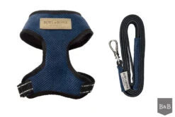 Harnais Candy Avec Laisse -Produits Chien Chat Magasin BowlAndBone Republic harness for dog CANDY set blue PS1S
