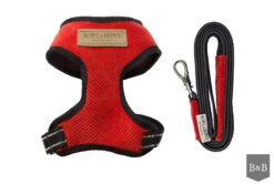 Harnais Candy Avec Laisse