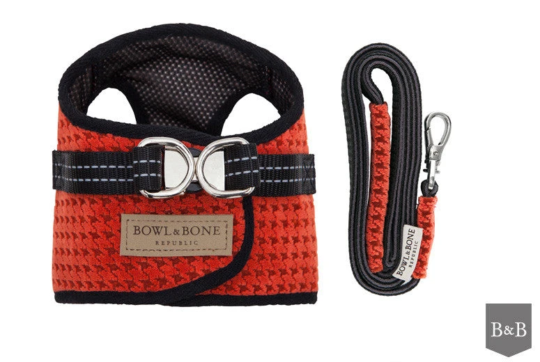 Harnais Soho Avec Laisse 3 Harnais Soho Avec Laisse