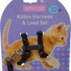 Harnais Et Laisse à Pois Pour Chaton -Produits Chien Chat Magasin CH4202 Spotty Black Kitten Harness LR