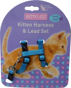 Harnais Et Laisse à Pois Pour Chaton -Produits Chien Chat Magasin CH4202 Spotty Blue Kitten Harness LR