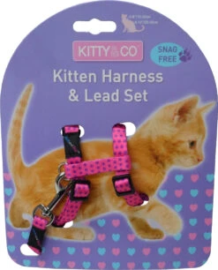 Harnais Et Laisse à Pois Pour Chaton -Produits Chien Chat Magasin CH4202 Spotty Pink Kitten Harness LR