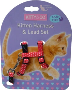 Harnais Et Laisse à Pois Pour Chaton -Produits Chien Chat Magasin CH4202 Spotty Red Kitten Harness LR 1