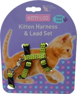 Harnais Et Laisse à Pois Pour Chaton -Produits Chien Chat Magasin CH4202 Spotty Yellow Kitten Harness LR