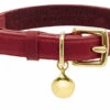 Collier Pour Chat En Cuir Rouge Chester -Produits Chien Chat Magasin CHESTER PERSONALISED RED LEATHER CAT COLLAR LUXURY