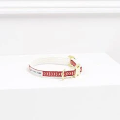 Produits Chien Chat Magasin -Produits Chien Chat Magasin CLB Firered 278A7761 4