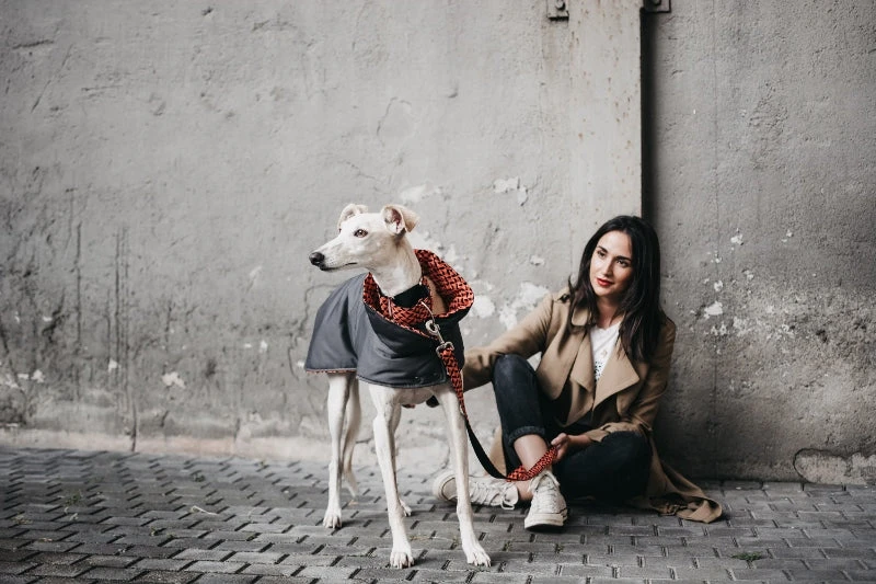 Manteau Pour Lévriers 6 Manteau Pour Lévriers – Image 4