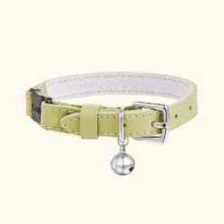 Collier Pour Chat Rococo (3 Couleurs)