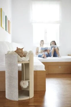 Coussin Pour Chat Pour Arbre à Chat Torre 13 Coussin Pour Chat Pour Arbre à Chat Torre -Produits Chien Chat Magasin ClimbTorre4 42f1dace 9ee6 4894 9e46 153489d23a5d