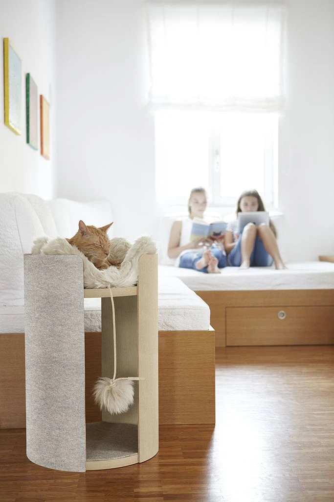 Coussin Pour Chat Pour Arbre à Chat Torre 6 Coussin Pour Chat Pour Arbre à Chat Torre – Image 4