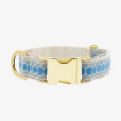 Collier Pour Chien You’re A Stud Cream & Lake Blue