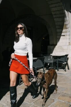 Collier Pour Chien Riells 9 Collier Pour Chien Riells -Produits Chien Chat Magasin DSC5857 copie