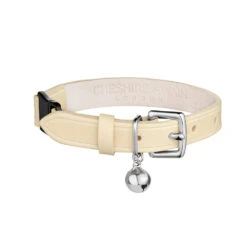 Collier En Cuir Pour Chat Collection Velouté -Produits Chien Chat Magasin Designer Luxury Cat Collar Cheshire and Wain Cream