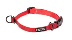 Collier Pour Chien Souple Everyday (3 Couleurs) -Produits Chien Chat Magasin EverydayCollar Red S 1024x1024 c7cfbc1e 0673 45f8 a9f4 159c792adb7c