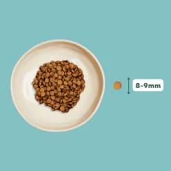 Croquettes Chat Stérilisé Sans Céréales Au Saumon -Produits Chien Chat Magasin Fichesproduits 31