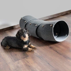 Tunnel Pour Chat FuzzPlay 11 Tunnel Pour Chat FuzzPlay -Produits Chien Chat Magasin FreddyDez.2021 3628 Bearbeitet 900x bda209d9 2387 49f5 86d0 77434b825845