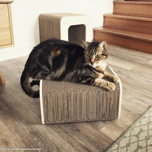 Griffoir Pour Chat Tour XL Homycat 4 Griffoir Pour Chat Tour XL Homycat – Image 2