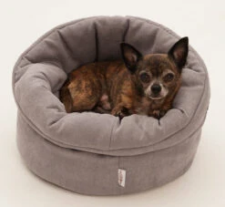 Panier Polyvalent Shopper -Produits Chien Chat Magasin Hundekoerbchen Little Basket 2