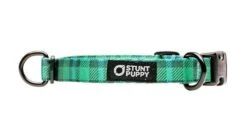 Collier Pour Chien Buffalo (2 Couleurs) -Produits Chien Chat Magasin IMG 6389 1024x1024 720x 3367ed4d 16c6 4ee5 b8e9 fbf6f9535586