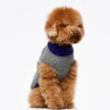 Pull En Laine Pour Chien Mark -Produits Chien Chat Magasin Jersey Mark G3