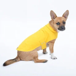 Imperméable Pour Petit Chien Microfibres -Produits Chien Chat Magasin Jolie Dog Arthur yellow1 grande 69966b65 6e70 4b5e 99b8 68053ddf003b