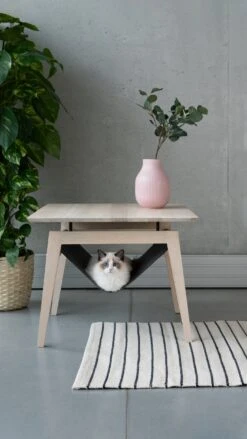 Hamac Pour Chat - Table Basse Kikko -Produits Chien Chat Magasin Kikko
